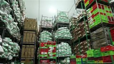 لحظة مصادرة 24 طن مصنعات دواجن مجهولة المصدر داخل شركة بالشرقية(فيديو)