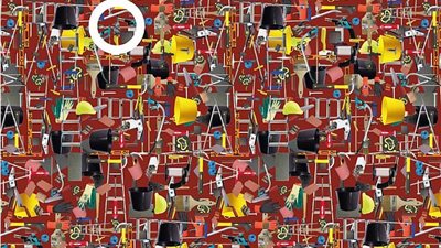 ابحث عن الخفافيش.. لغز يصعب حله في 15 ثانية (صور)