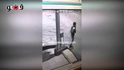 بالفيديو.. كاميرا مراقبة ترصد لحظة سرقة صندوق تبرعات مسجد بالدقهلية