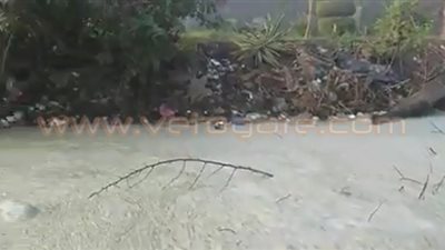 بالفيديو والصور.. انتشار بقع زيتية بمياه النيل في البحيرة