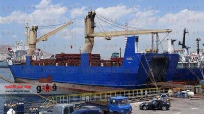 «الضوي» يقاضي خاطف «لوسي» ويطالبه بتعويض 10 ملايين جنيه