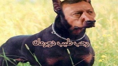 نشطاء خليجيون دفاعا عن السيسي: رجب طيب 
