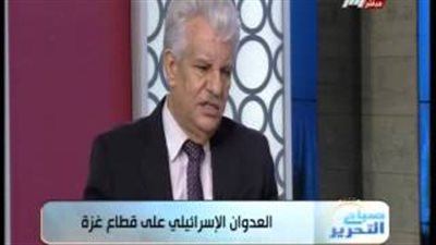 بالفيديو.. «الشوبكي»: المبادرة المصرية تتضمن إرجاع الأسري الفلسطينيين