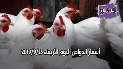 بورصة الدواجن العمومية | أسعار الدواجن اليوم الأربعاء 2019/9/25