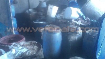 بالصور.. ضبط 20 طن أسماك فاسدة بقليوب