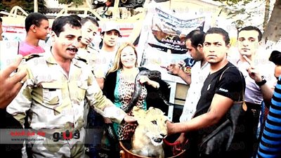 بالفيديو والصور: أبطال السيرك القومي بطنطا يشاركون القوات المسلحة ذكرى انتصار أكتوبر