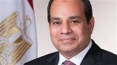 السيسي: التنمية المستدامة أحد أهم إنجازات التعاون الدولي