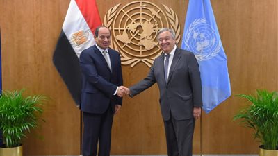 رسائل السيسي لسكرتير عام الأمم المتحدة: دعم كافة الجهود الدولية لتحقيق السلام بين فلسطين وإسرائيل.. استقرار ووحدة ليبيا وجيشها الوطني.. ورفع السودان من قوائم الدول الراعية للإرهاب