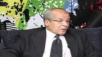 الشيمى: التعديلات الضريبية يتحملها محدودو الدخل