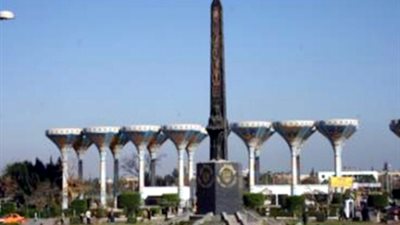 أستاذ بجامعة «قناة السويس» يستخرج «الأنسولين» من مخلفات الأسماك