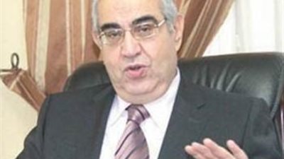 مجد المنزلاوي: مساندة المشروعات الصغيرة على رأس اهتماماتنا