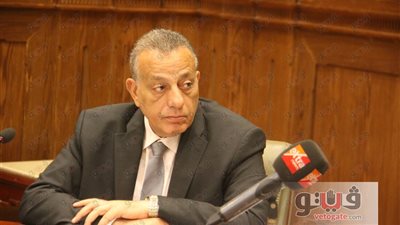 «الدالي»: محافظة الجيزة أحق بمدينة الحرفيين من وزارة الاستثمار