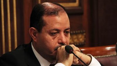 الجنايات تنظر دعوى رفعت السعيد ضد صلاح عبد المقصود