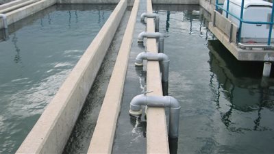 محافظ الوادي الجديد: توفير 1000 وظيفة بشركة مياه الشرب والصرف الصحي