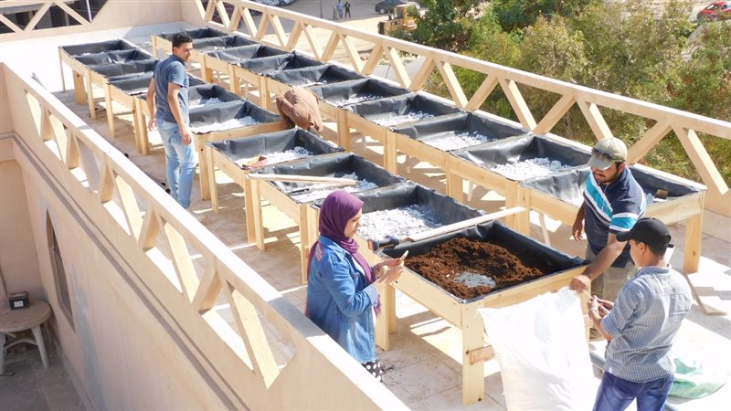 مبادرة زراعة الأسطح