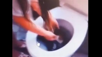 لقطات صادمة لفتاة تحاول إغراق قطة صغيرة في المرحاض (فيديو)
