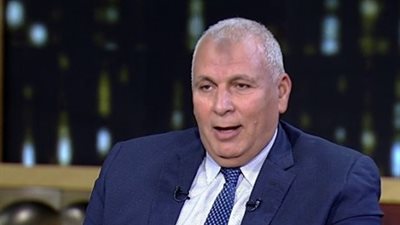 محافظ الوادي الجديد: نتحمل 50% من تكلفة مقاومة النمل الأبيض