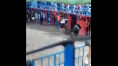 لحظة هجوم ثور هائج على صبي (فيديو)