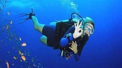 الغوص والأنشطة البحرية تنظم دورة توعية بيئية لعاملي يخوت السفاري