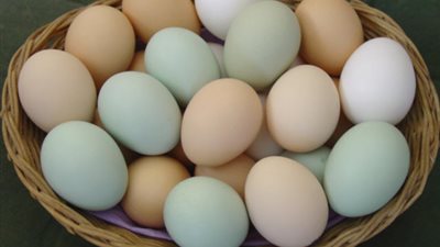 أسعار البيض في البورصات قبل شم النسيم