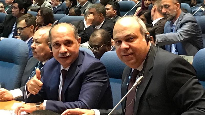 الفريق يونس المصرى،