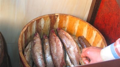 4 علامات تكشف فساد الأسماك المملحة