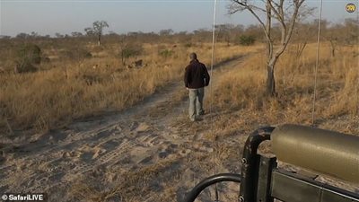 امرأة تجدد شكل سلم منزلها بـ 50 جنيها إسترلينيا (صور)