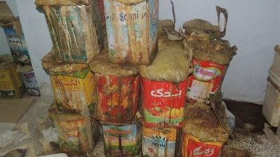 ضبط 300 كليو فسيخ مجهول المصدر معد للبيع في بني سويف