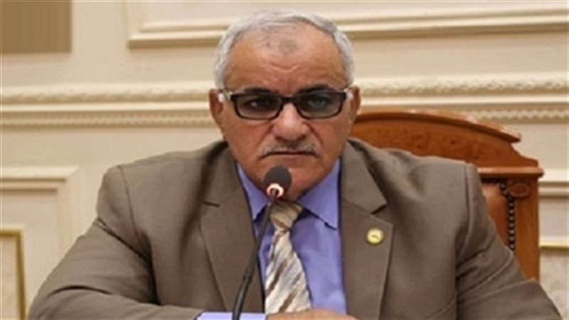 ممدوح الحسينى عضو