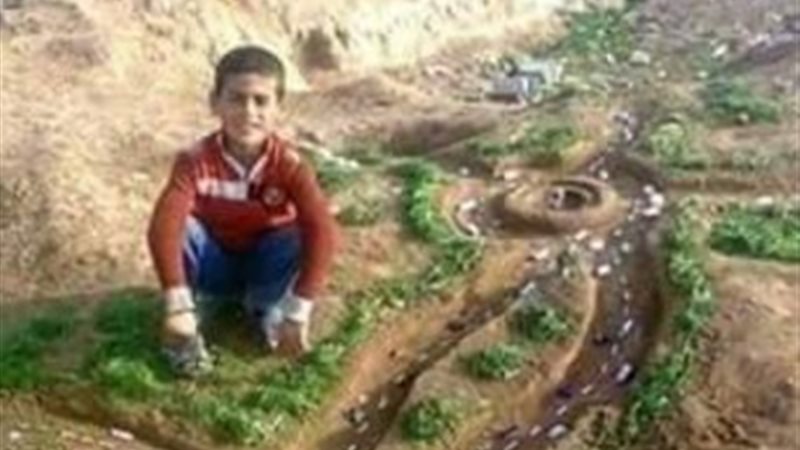 فيتو
