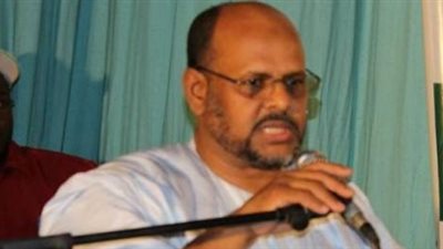 إخوان موريتانيا يرفضون الاستفتاء على الدستور