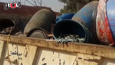 بالفيديو.. إعدام 20 طن سردين في شبرا الخيمة