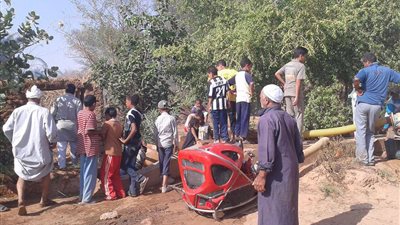 نفوق 7 رؤوس ماشية في احتراق حظيرة بالوادى الجديد