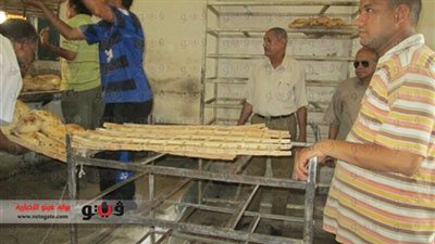 ضبط 628 مخالفة تموينية بمخابز بني سويف