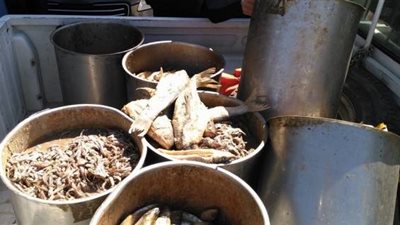 «حماية المستهلك»: ضبط 940 كيلو فسيخ فاسد بكفر الشيخ