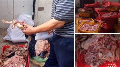 ضبط مصنع لفرم الدواجن النافقة في الشرقية
