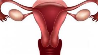 طرق طبيعية لعلاج ضعف التبويض