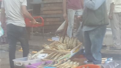 الكيلو بـ35 جنيها.. الركود يضرب سوق الفسيخ بعد تسمم 21 حالة (صور)