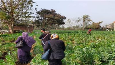 قوافل ولجان لتحديد ودراسة احتياجات القرى ضمن مبادرة حياة كريمة