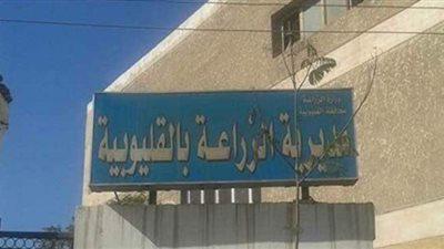 زراعة القليوبية: 1850 مستفيدا من مشروع البتلو بالمحافظة