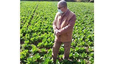 تحديث نظم الري وإنشاء مشروعات للصوب الزراعية بالوادي الجديد