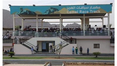 فى ذكرى افتتاحه.. ١٠ معلومات عن مضمار الهجن بشرم الشيخ | صور