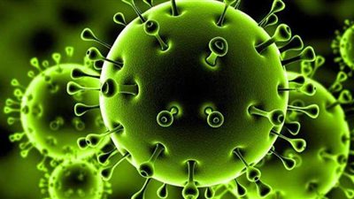 طرق علاج فقدان حاستي الشم والتذوق