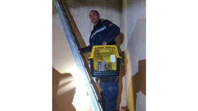 إنقاذ قط من أعلى سطح منزل في بني سويف