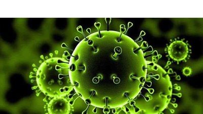 الصحة العالمية تكشف حقيقة وصول مصر إلى ذروة الموجة الثانية من كورونا