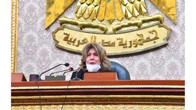 فريدة الشوباشي: سأتقدم باستجواب ضد وزير قطاع الأعمال بعد تصفية الحديد والصلب