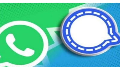 خبير تكنولوجيا معلومات: 