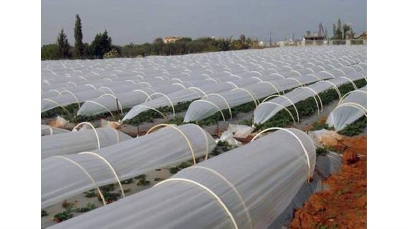زراعات الأنفاق البلاستيكية