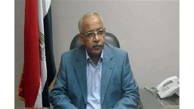 عبدالمنعم الجمل: نرفض تصفية شركة الحديد والصلب.. وحذرنا من مخطط الإغلاق