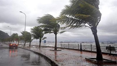 تحذير شديد من الأرصاد الجوية.. سرعة الرياح ٢١ عقدة في هذه المدن